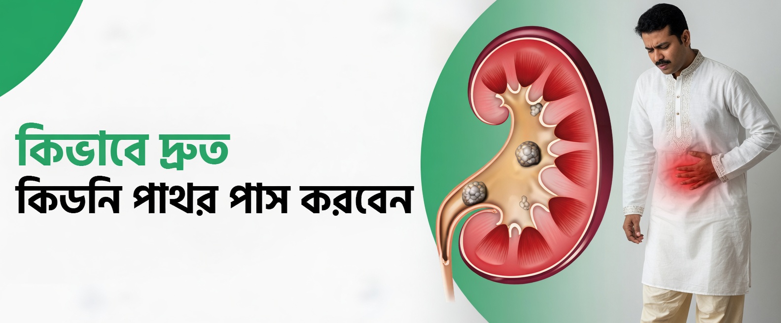 প্রতিদিন স্বাভাবিকভাবে কিডনির সুস্থ কার্যকারিতা সমর্থন ও উন্নীত করার ৭টি প্রাকৃতিক উপায় আবিষ্কার করুন