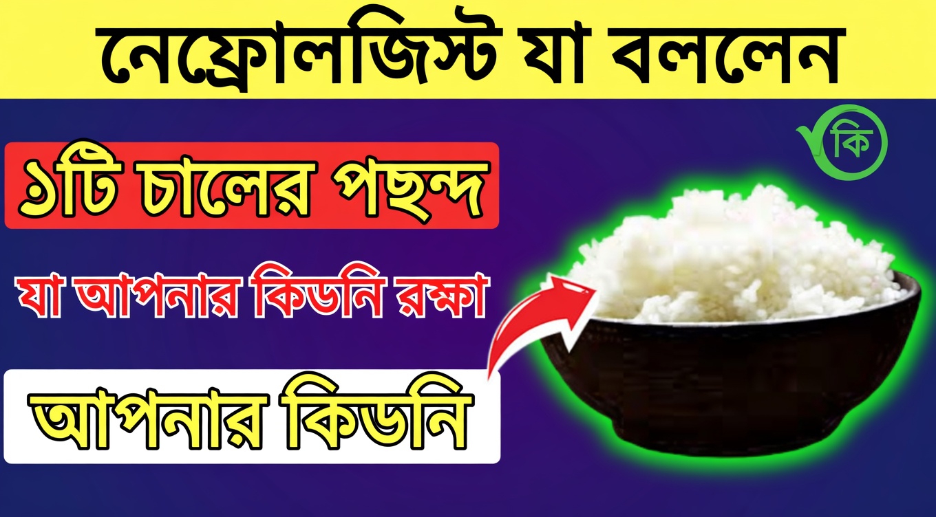 কিডনি-বান্ধব জীবনযাপনে প্রতিদিন দারুণভাবে মানিয়ে যায় এমন শীর্ষ ৩টি চালের জাত আবিষ্কার করুন