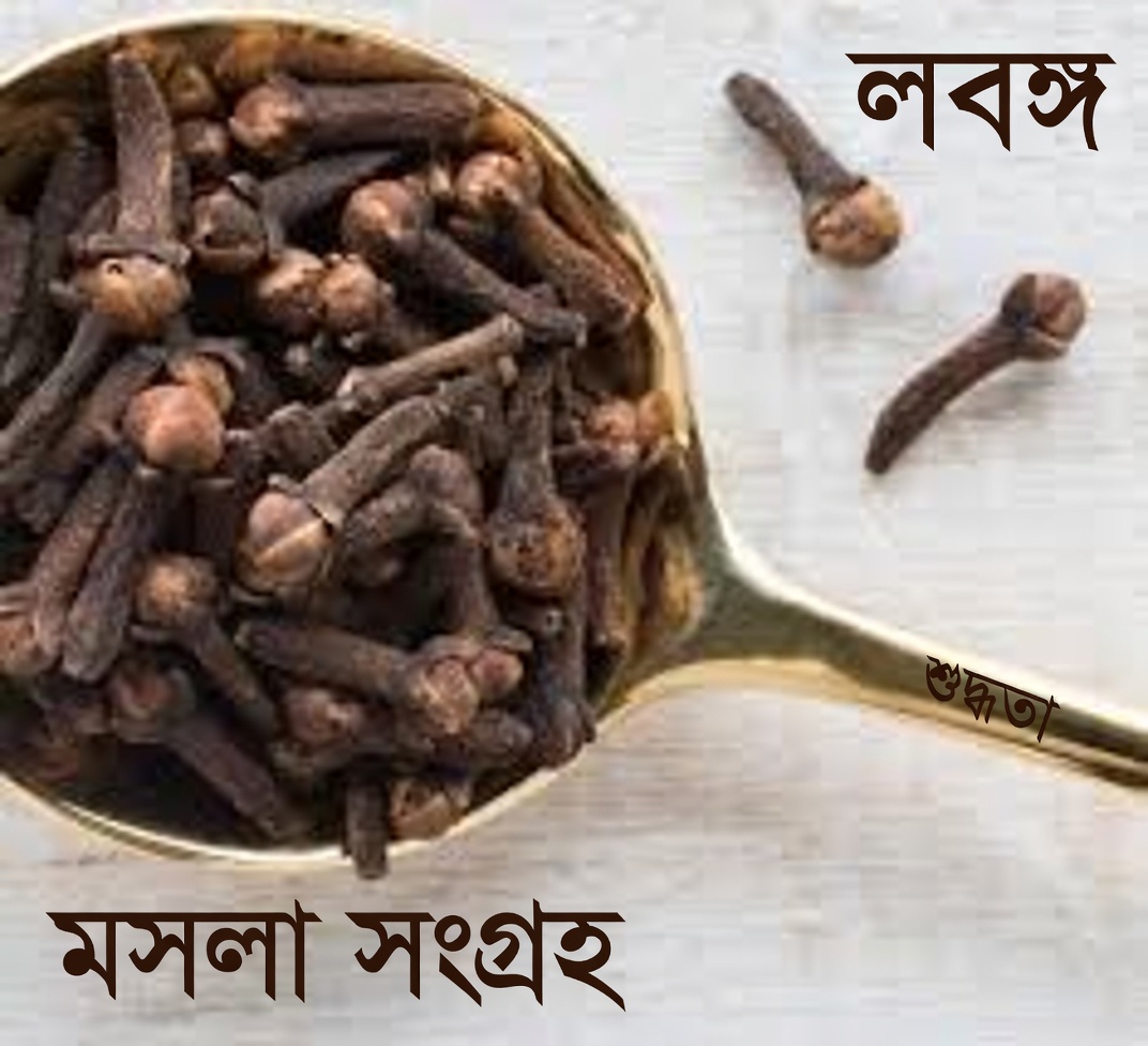 প্রতিদিন ২টি লবঙ্গ খেলে কী হয়: এই জনপ্রিয় সুস্থতা অভ্যাসটি নিয়ে কাছ থেকে এক নজর