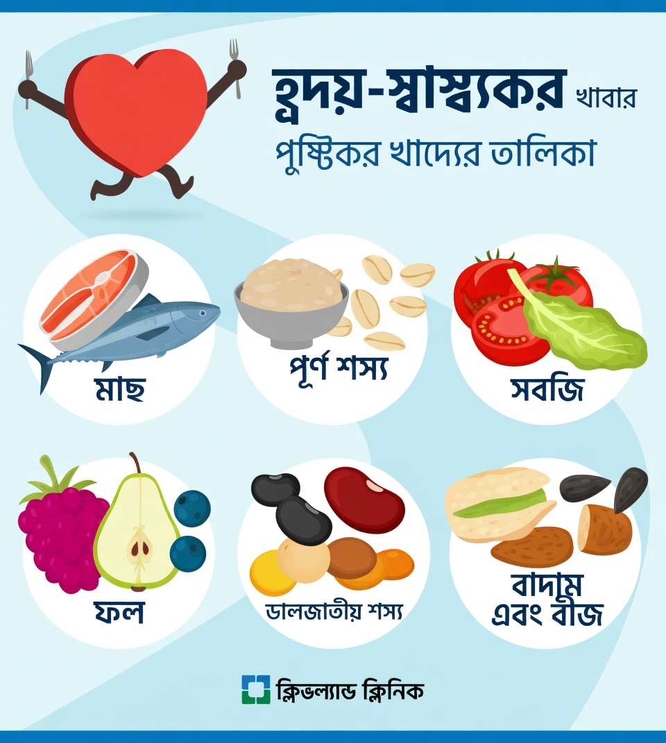 হৃদ্‌স্বাস্থ্যকে সমর্থন করতে এবং প্রাকৃতিকভাবে সুস্থ রক্তসঞ্চালন বাড়াতে প্রতিদিনের সেরা খাবার কী?