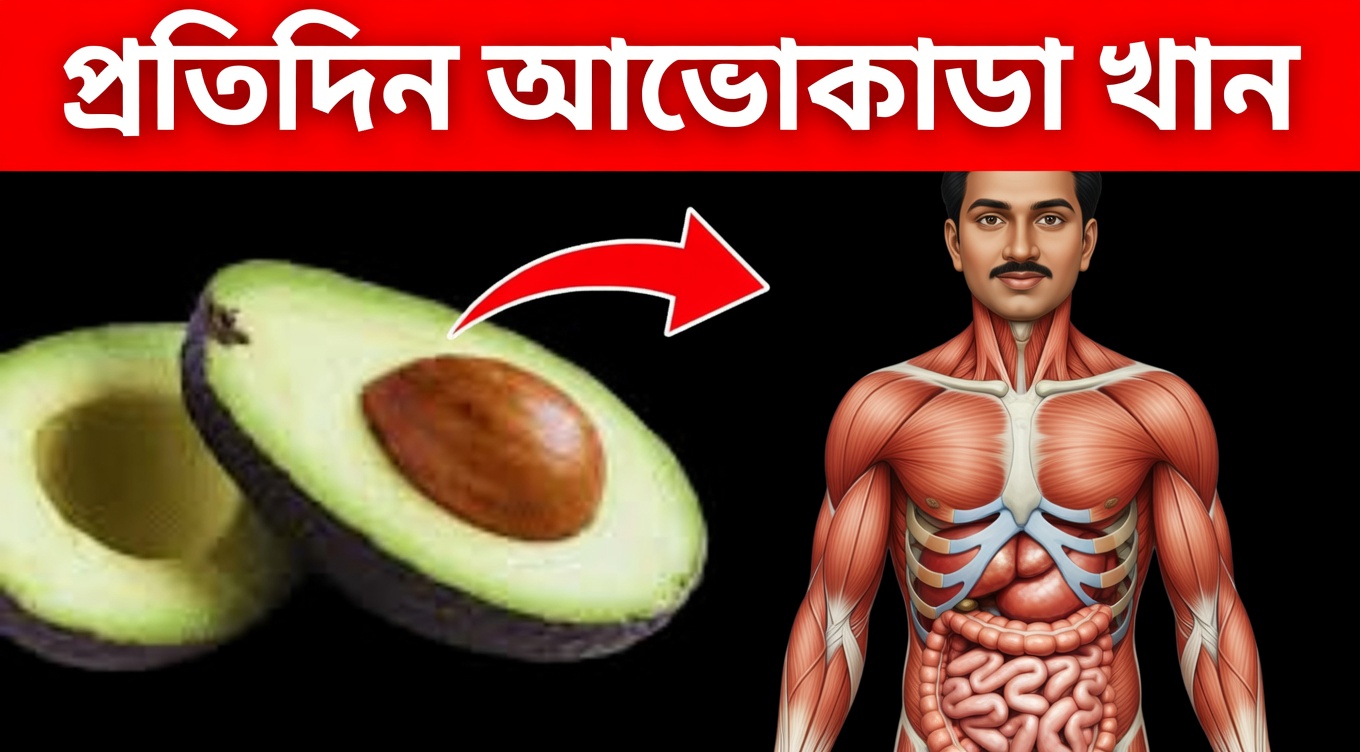 দৈনন্দিন সুস্থতার সহায়তায় অ্যাভোকাডোর বিচির চা কি আপনি চেষ্টা করে দেখেছেন?