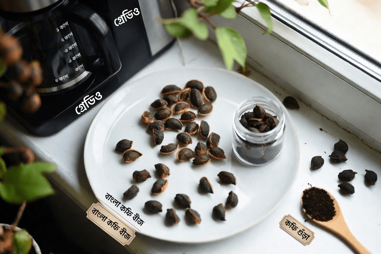 পেঁপের বীজ: ফলের জন্য সবাই যে কারণে এটি ভালোবাসে, কিন্তু ভেতরের শক্তিশালী বীজ সম্পর্কে খুব কমই জানে