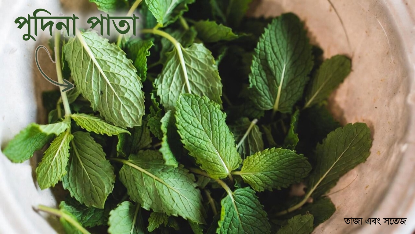 দুর্বল রক্তসঞ্চালন ও পায়ের শিরার আরাম বোঝা