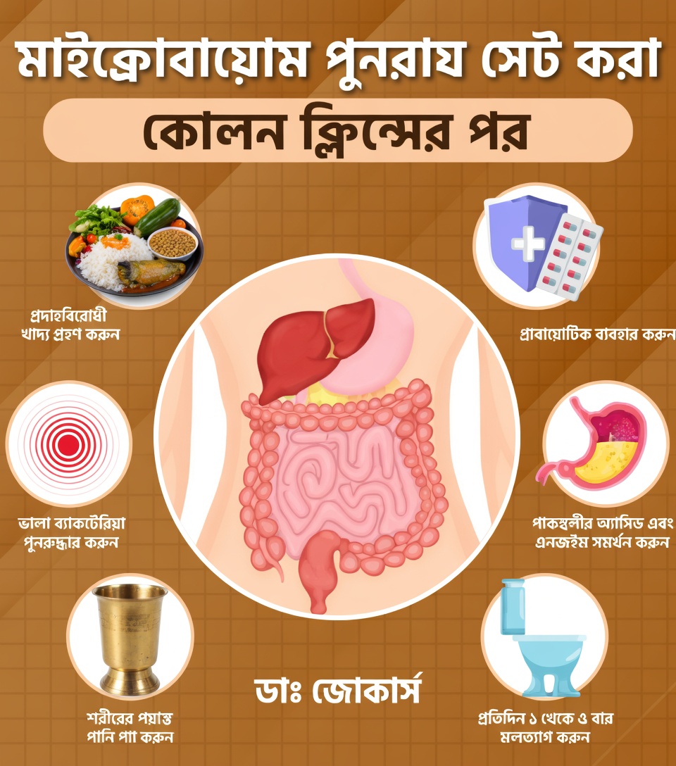 দৈনন্দিন সুস্থতার জন্য কোলনের স্বাস্থ্য কেন গুরুত্বপূর্ণ