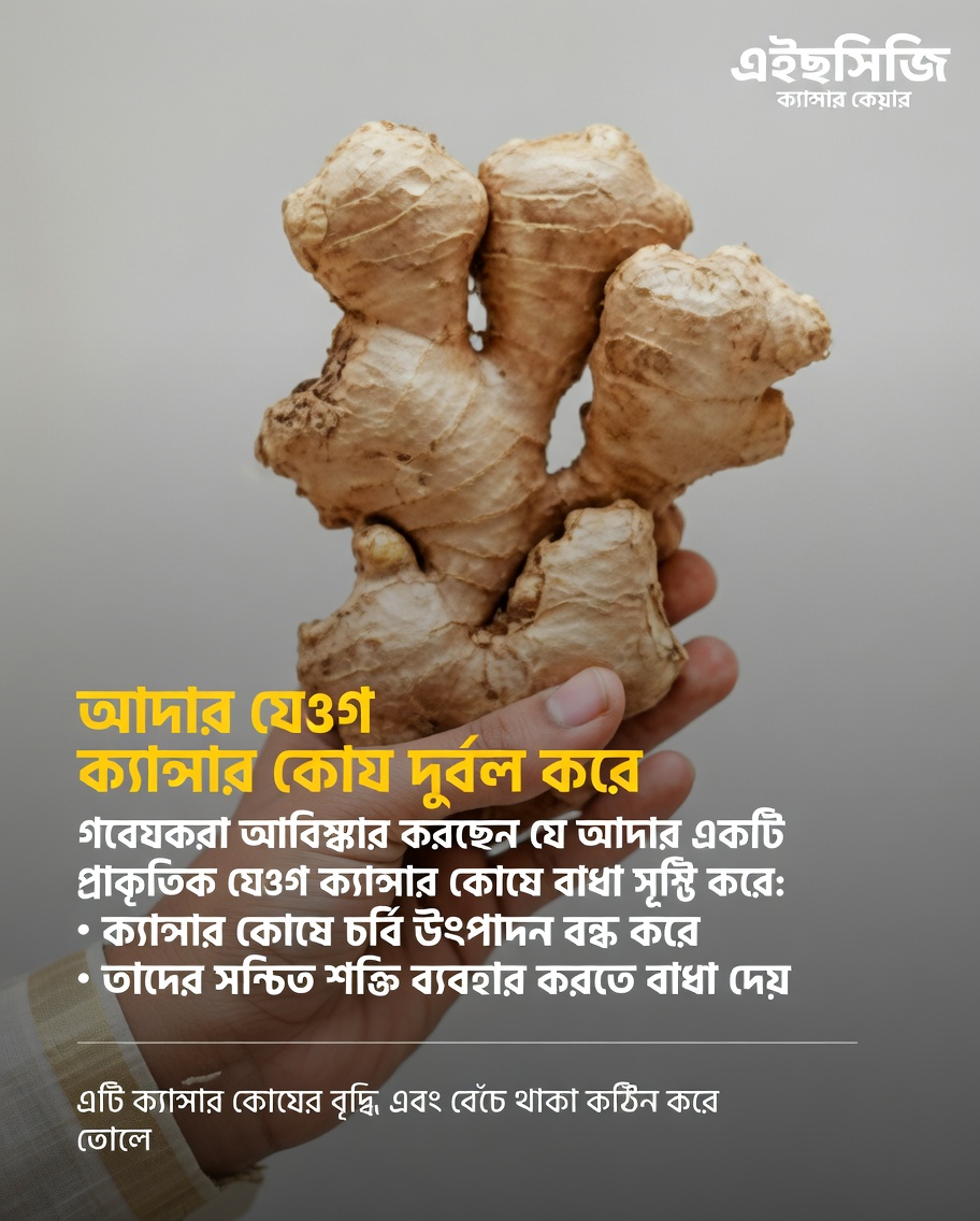 সাম্প্রতিক গবেষণা পরীক্ষাগারভিত্তিক গবেষণায় ক্যান্সার স্টেম সেলের সঙ্গে আদার সম্ভাব্য পারস্পরিক ক্রিয়া সম্পর্কে কী প্রকাশ করে?