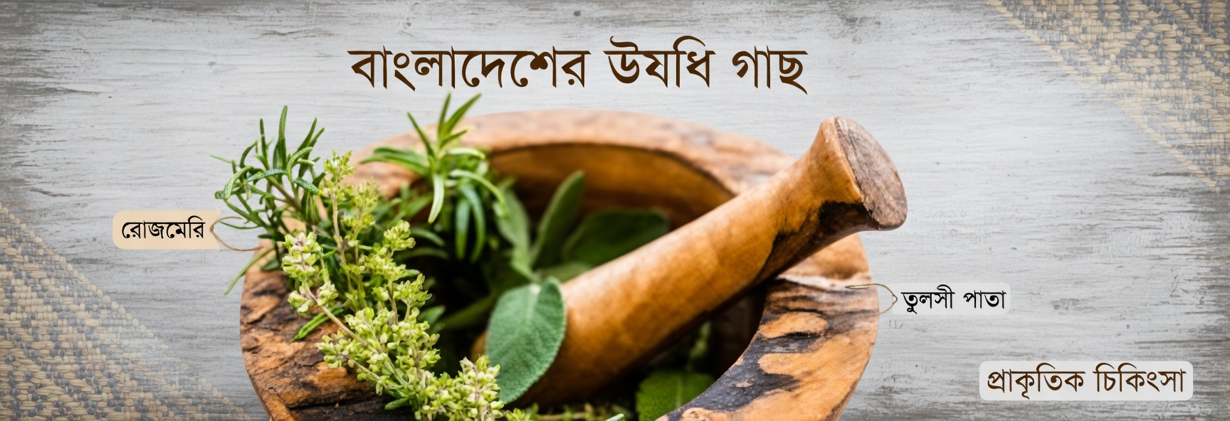 যে সেরা ভেষজগুলো পায়ের সুস্থ রক্তসঞ্চালন সমর্থন করতে এবং প্রাকৃতিকভাবে ফোলা কমাতে সহায়তা করতে পারে, সেগুলো আবিষ্কার করুন