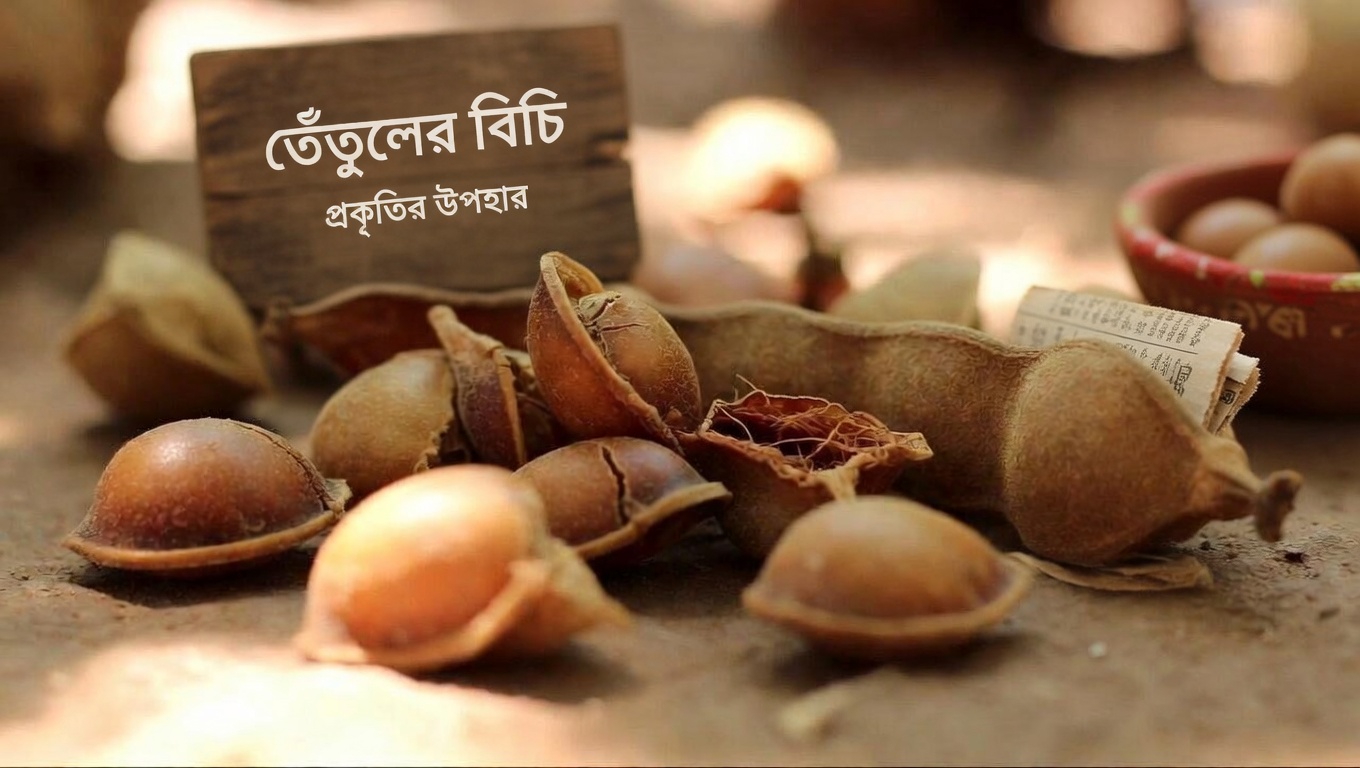 তেঁতুলের বীজ কি আপনার শরীরকে মাইক্রোপ্লাস্টিকের সঙ্গে মোকাবিলায় সাহায্য করতে পারে? প্রাথমিক গবেষণায় যা দেখা যাচ্ছে