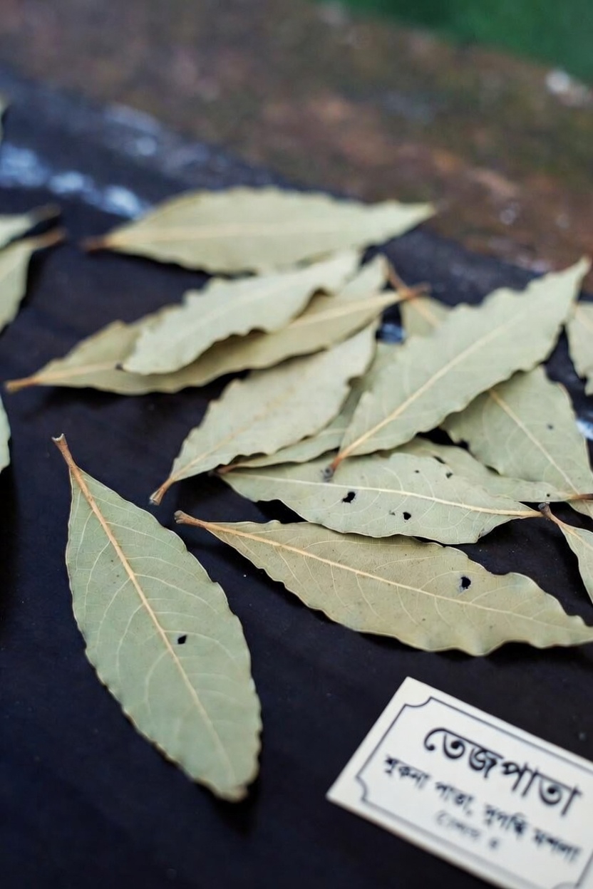 স্বাস্থ্যকর দেখানো ত্বকের জন্য আপনার দৈনন্দিন ত্বকের যত্নের অভ্যাসে তেজপাতা অন্তর্ভুক্ত করার ঐতিহ্যবাহী উপায়গুলো আবিষ্কার করুন