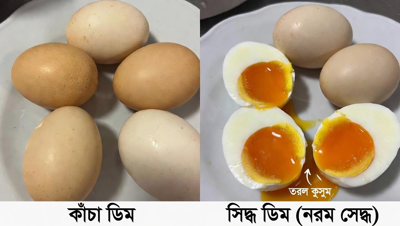 প্রতিদিন সকালে নাশতায় সেদ্ধ ডিম খাওয়া সম্পর্কে ডাক্তার ও পুষ্টি বিশেষজ্ঞরা কী বলেন