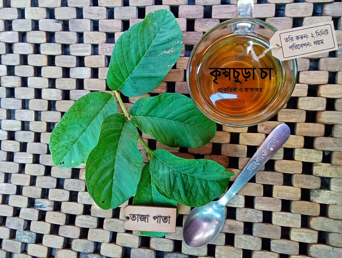 বয়স বাড়ার সঙ্গে সঙ্গে আপনার চোখ সুরক্ষিত রাখতে কি এই দৈনন্দিন ফলটি সাহায্য করতে পারে?