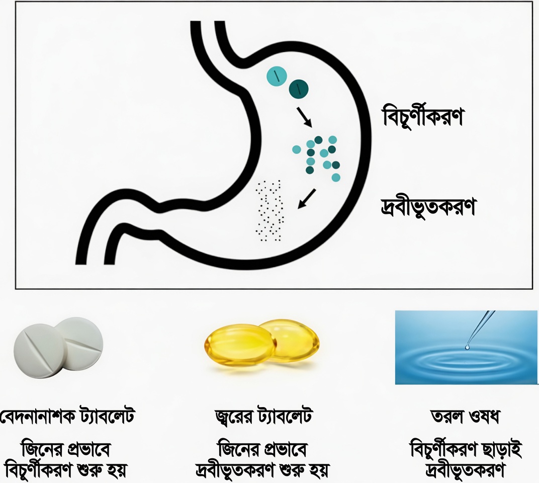 আপনি কি প্রতিদিন সকালে ভুলভাবে লেভোথাইরক্সিন খাচ্ছেন? অনেক রোগী যে অভ্যাসগুলো খেয়াল করেন না