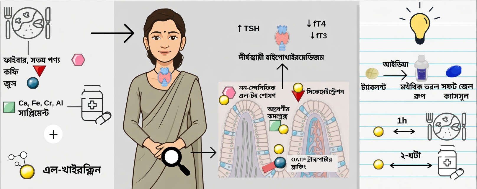 আপনি কি প্রতিদিন সকালে ভুলভাবে লেভোথাইরক্সিন খাচ্ছেন? অনেক রোগী যে অভ্যাসগুলো খেয়াল করেন না