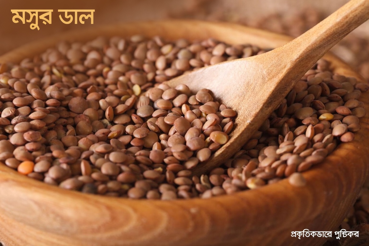 ধমনীগুলো পরিষ্কার রাখতে এবং হৃদ্স্বাস্থ্যকে সহায়তা করতে সাহায্য করে এমন শীর্ষ ১০টি খাবার