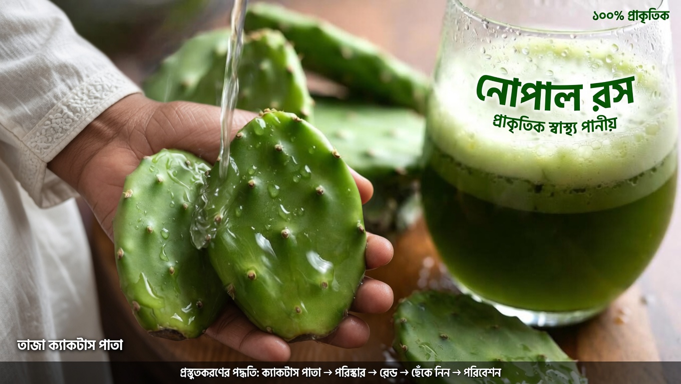 স্বাস্থ্যকর রক্তে শর্করার মাত্রা সমর্থনে প্রিকলি পিয়ার ক্যাকটাসের সম্ভাবনা অনুসন্ধান