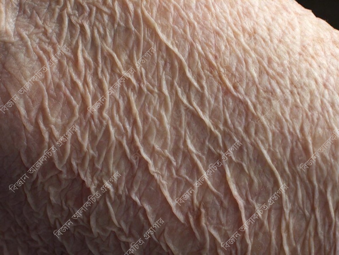 আপনি কি প্রতিদিন এই সাধারণ ৩-মিনিটের স্কিনকেয়ার ভুলটি করছেন?