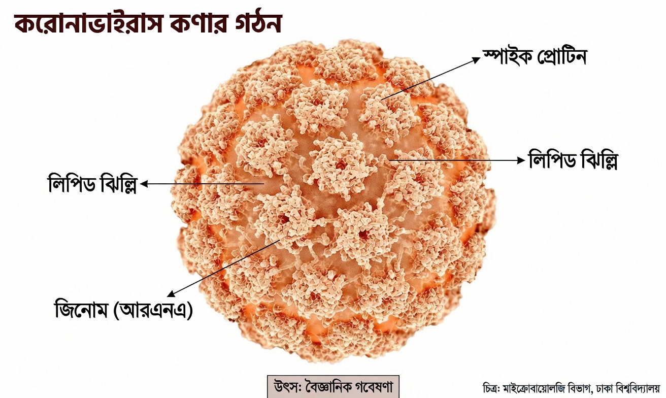 জরায়ুমুখের ক্যান্সারের গুরুতর লক্ষণগুলো যা প্রতিটি নারীর জানা উচিত এবং কখনোই উপেক্ষা করা উচিত নয়