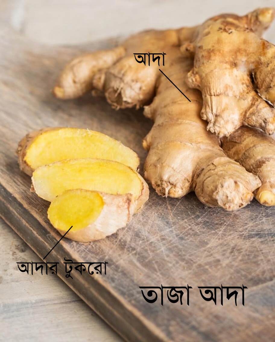 আপনার যদি এই ৫টি স্বাস্থ্য সমস্যা থাকে, তাহলে আদা এড়িয়ে চলুন: আপনার জানা জরুরি গুরুত্বপূর্ণ তথ্য