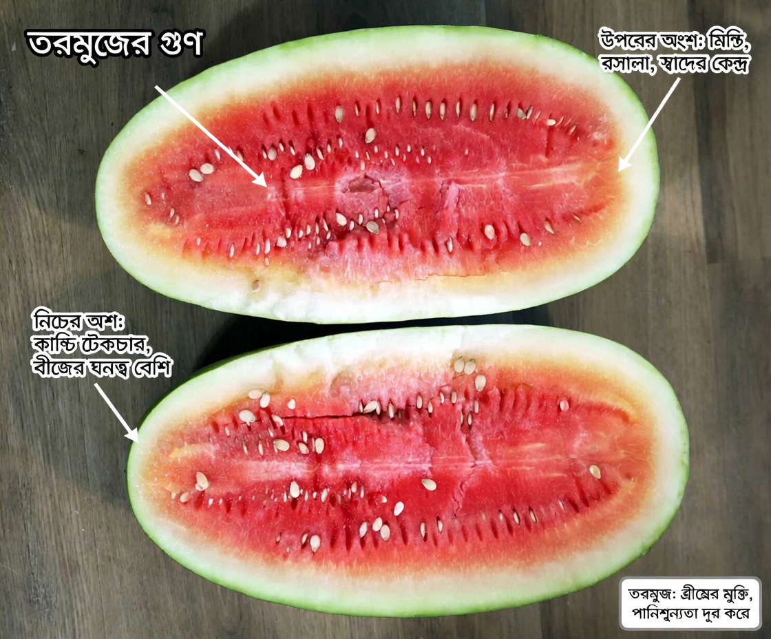 শীর্ষ ৫টি সবজি আবিষ্কার করুন যা স্বাস্থ্যকর ক্রিয়াটিনিনের মাত্রা ও কিডনির কার্যকারিতা সমর্থনে সহায়তা করতে পারে