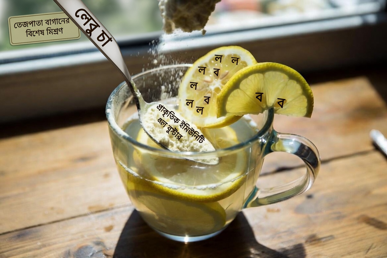 কীভাবে রান্নাঘরের একটি সাধারণ উপাদান প্রবীণদের জয়েন্টের আরাম বজায় রাখতে সহায়তা করতে পারে – জেলাটিন নিয়ে ঘনিষ্ঠভাবে দেখা