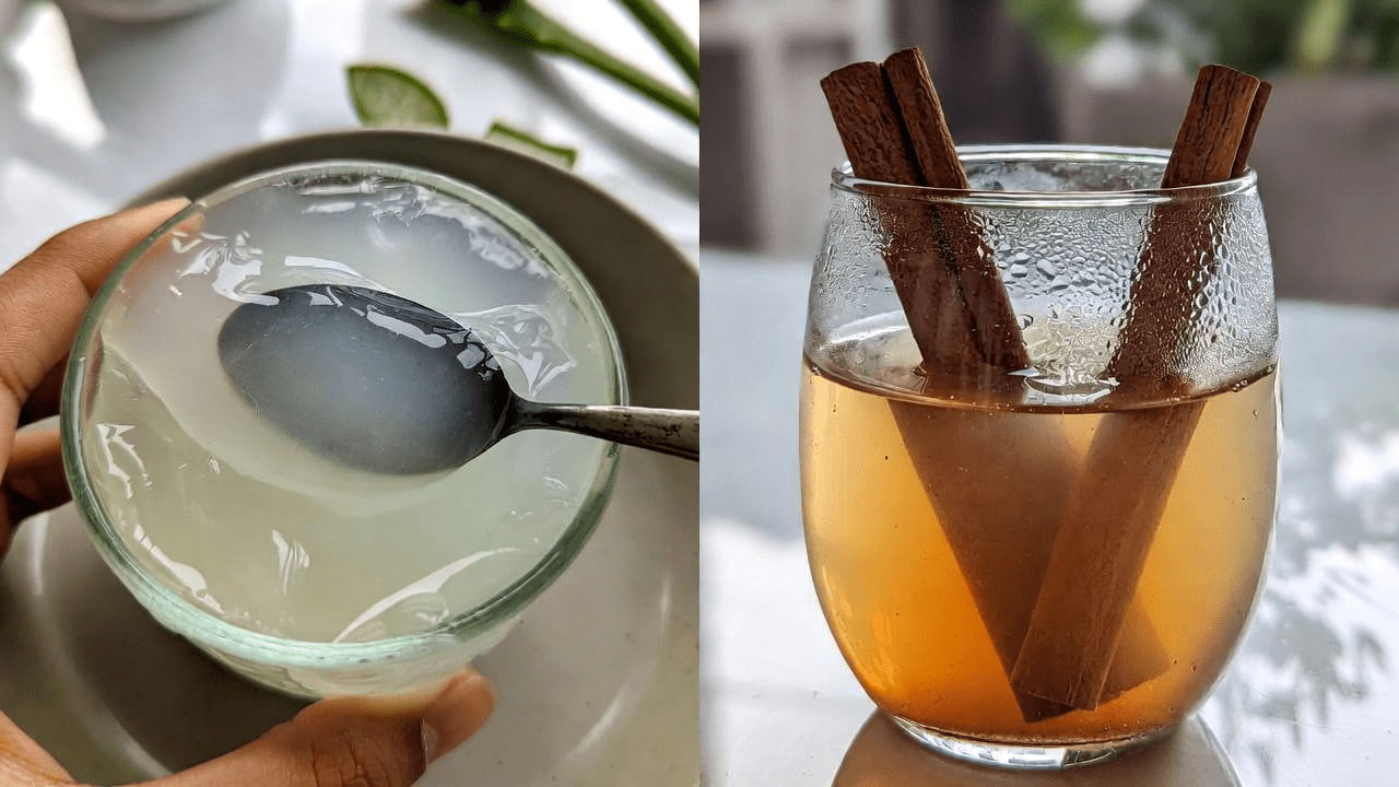 অ্যালোভেরা ও দারুচিনি: সুস্থতা ও চোখের সহায়তার জন্য প্রাকৃতিক উপাদানগুলোর অনুসন্ধান