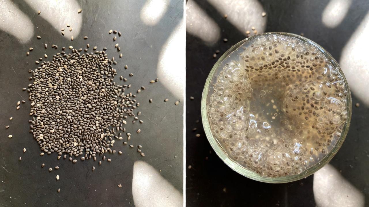 প্রতিদিনের স্বাচ্ছন্দ্যের জন্য কোলনের স্বাস্থ্য কেন গুরুত্বপূর্ণ