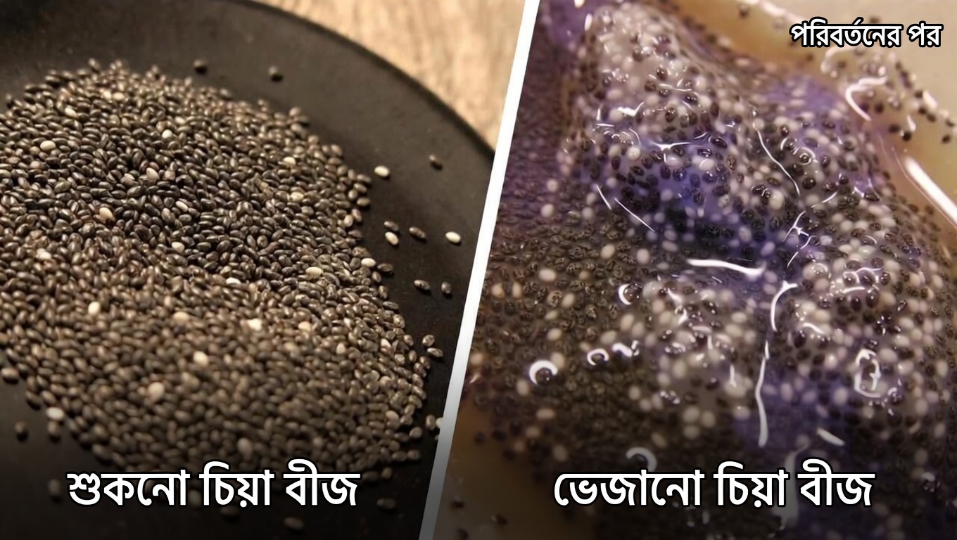 প্রতিদিনের স্বাচ্ছন্দ্যের জন্য কোলনের স্বাস্থ্য কেন গুরুত্বপূর্ণ