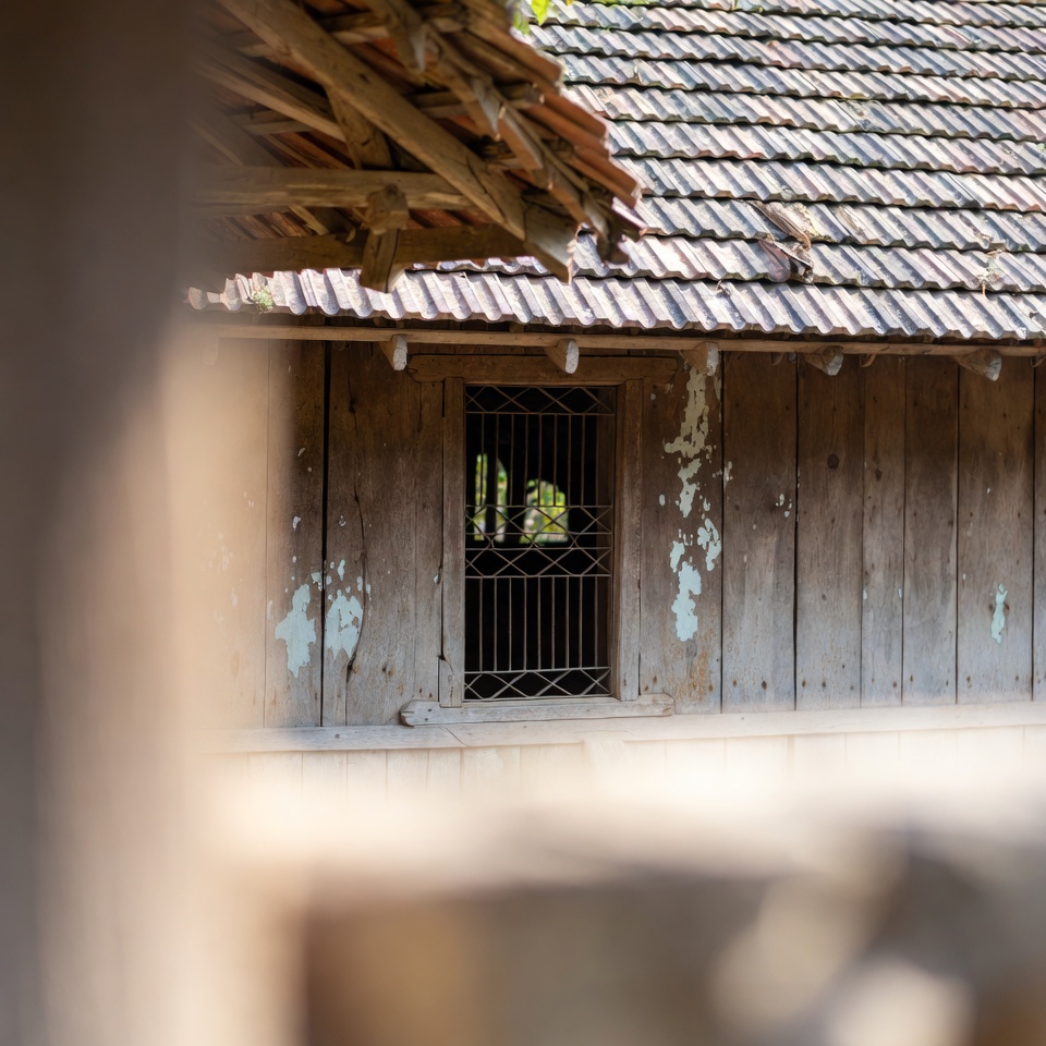 রসুন ও লবণ: এগুলো একসঙ্গে খেলে আপনার শরীরে আসলে কী ঘটে?