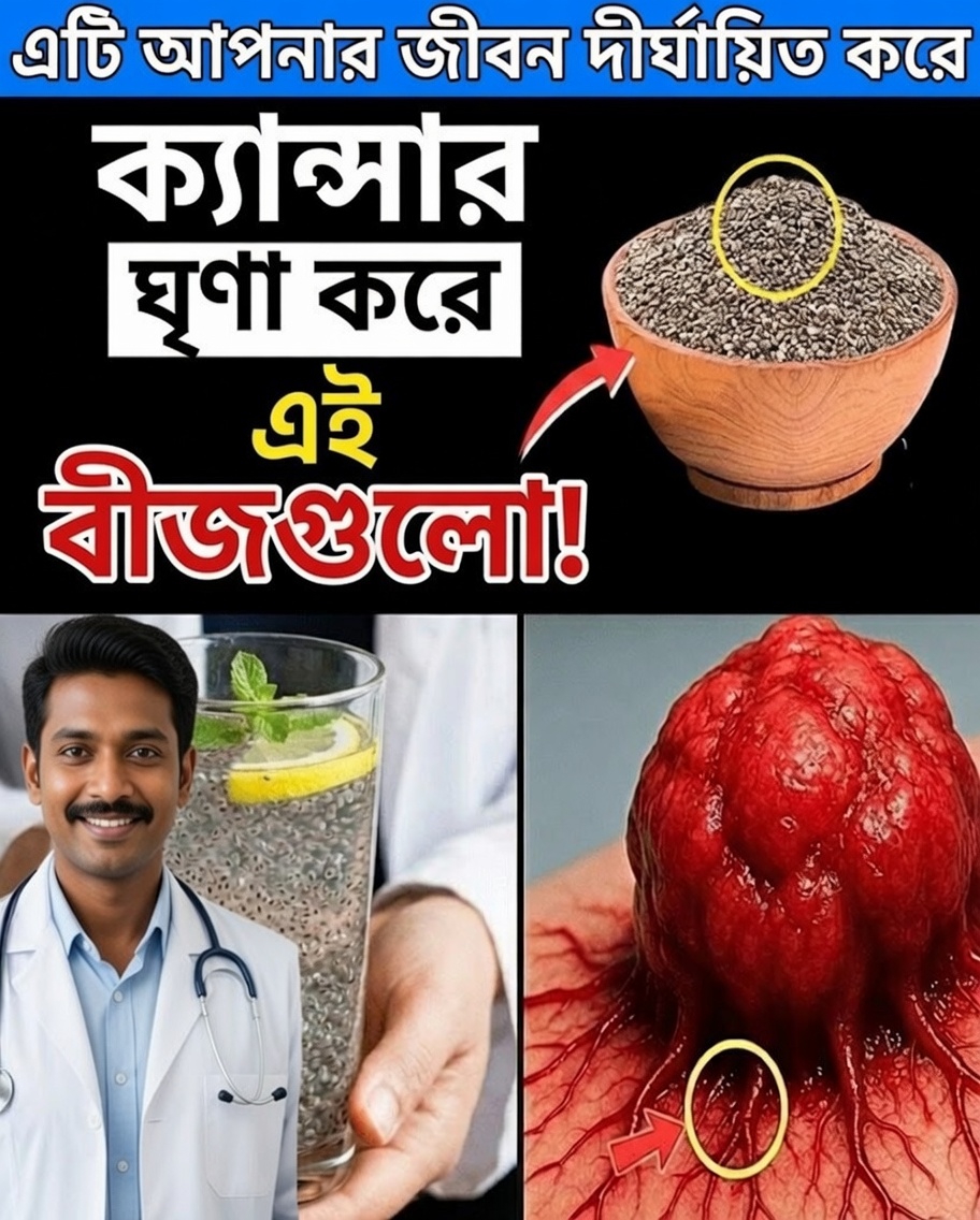 ৫০ বছরের পর ক্যান্সারের বিরুদ্ধে আপনার শরীরের প্রতিরক্ষা স্বাভাবিকভাবে সমর্থন করতে পারে এমন ৬টি দৈনন্দিন বীজ