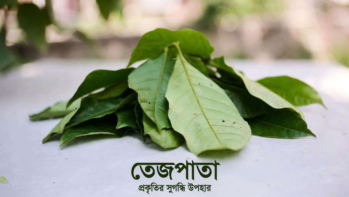 একটি সহজ সকালের অভ্যাস আবিষ্কার: পেয়ারা পাতার চা এবং দৈনিক রক্তে শর্করা নিয়ন্ত্রণে এর সম্ভাব্য ভূমিকা