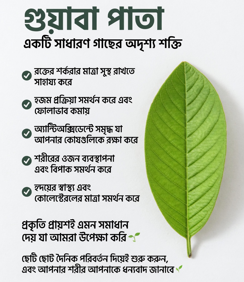 একটি সহজ সকালের অভ্যাস আবিষ্কার: পেয়ারা পাতার চা এবং দৈনিক রক্তে শর্করা নিয়ন্ত্রণে এর সম্ভাব্য ভূমিকা