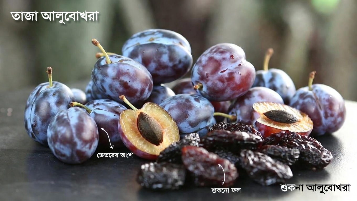 ডায়াবেটিস আক্রান্তদের জন্য শীর্ষ ৩টি ফল: রক্তে শর্করার মাত্রা নিয়ন্ত্রণে সহায়ক বুদ্ধিমান পছন্দগুলো