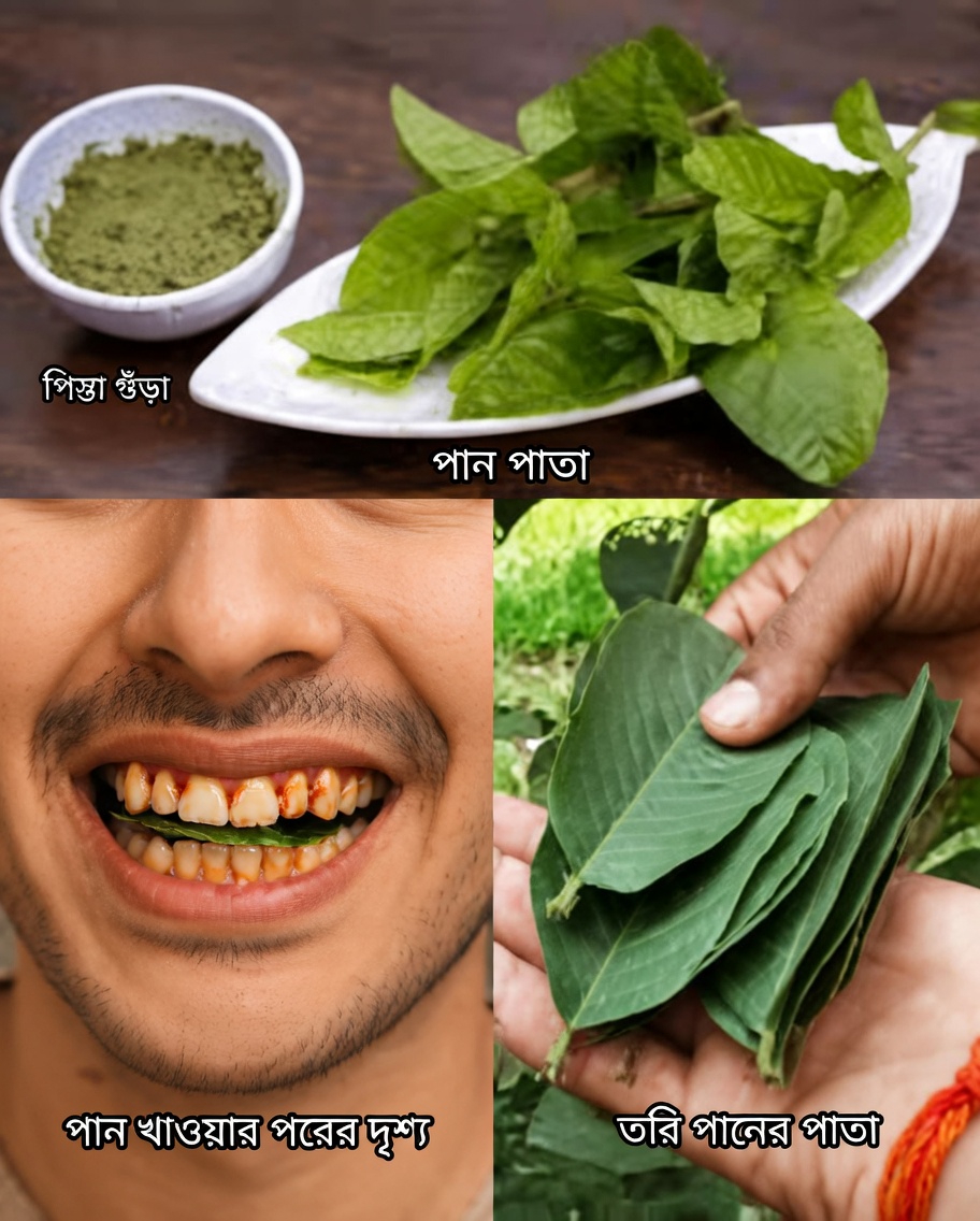 পেয়ারা পাতার সাহায্যে দাঁতের ক্ষয় চিকিৎসার শীর্ষ ৩টি উপায় – সহজ ও সাশ্রয়ী