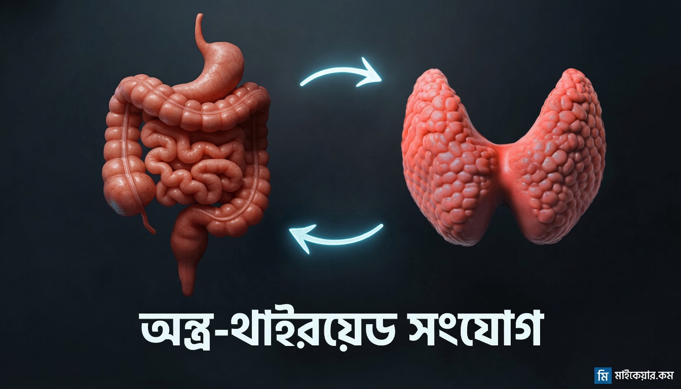 স্বাভাবিকভাবে আপনার থাইরয়েডের স্বাস্থ্যকে সমর্থন করার ৬টি সহজ, বিজ্ঞানসমর্থিত উপায় (এবং কেন এটি প্রতিদিন আপনার অনুভূতিকে বদলে দিতে পারে)