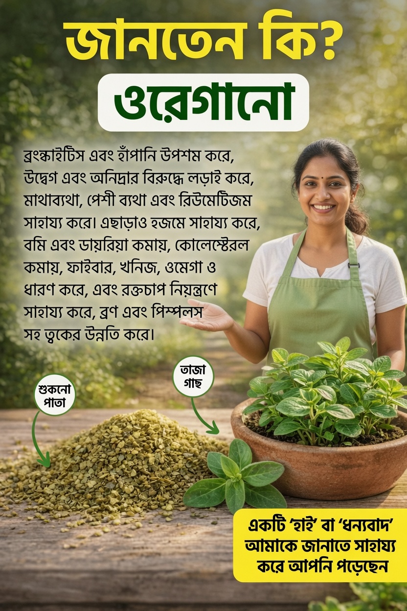 অরেগানো কীভাবে আপনার দৈনন্দিন সুস্থতার রুটিনকে আশ্চর্যজনক উপায়ে সহায়তা করতে পারে তা আবিষ্কার করুন