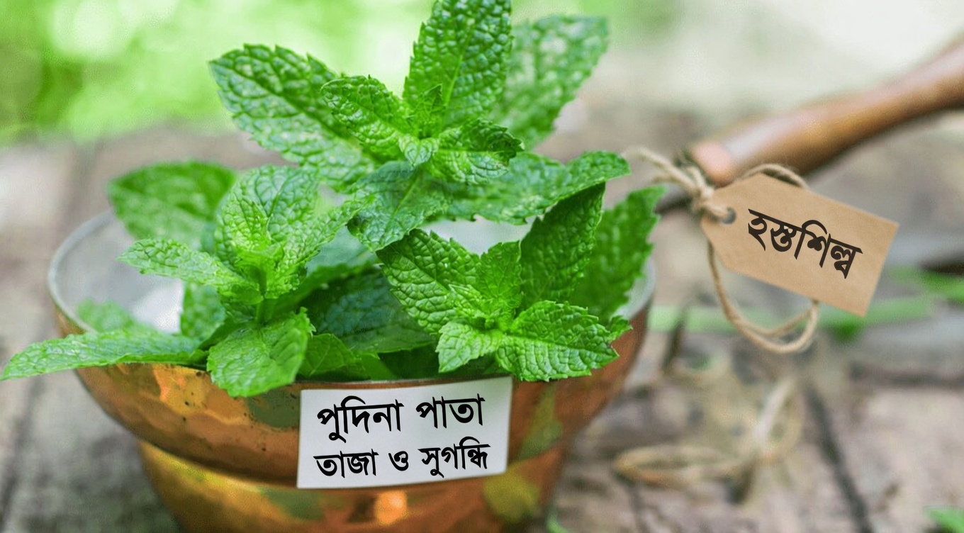 নিঃশব্দ চোর: ওষুধের দোকান ছাড়াই আপনার ধমনীগুলোকে সহায়তা করার প্রাকৃতিক উপায়গুলো