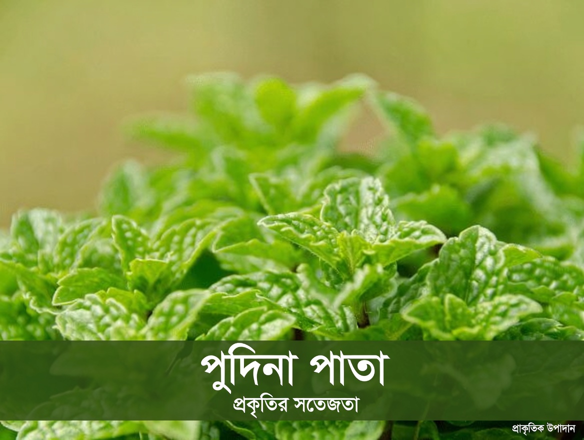 নিঃশব্দ চোর: ওষুধের দোকান ছাড়াই আপনার ধমনীগুলোকে সহায়তা করার প্রাকৃতিক উপায়গুলো