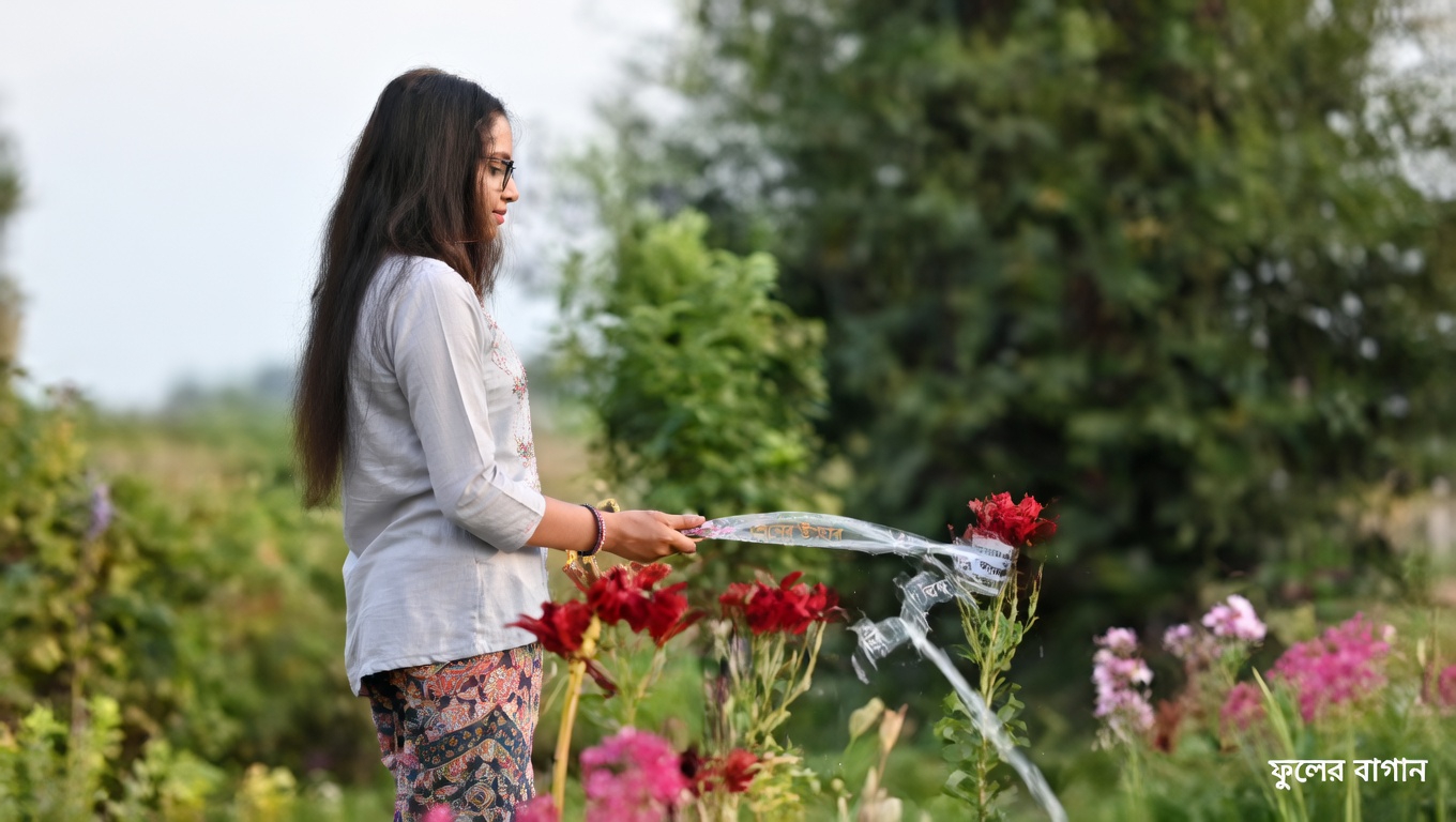 Ageratum conyzoides (বিলিগোট উইড): ১৫টি অবিশ্বাস্য উপকারিতা এবং এটি কীভাবে ব্যবহার করবেন