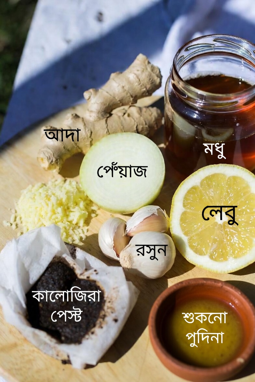 আদা, রসুন, পেঁয়াজ, লেবু ও মধুর মিশ্রণের সম্ভাব্য সুস্থতা-উপকারিতা অন্বেষণ: ঘরে সহজে প্রস্তুতির নির্দেশিকা