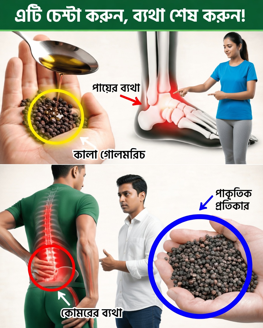 ৬০ বছরের বেশি বয়সী প্রাপ্তবয়স্কদের জন্য জলপাই তেল ও কালো মরিচ মিশ্রণের সম্ভাব্য স্বাস্থ্য উপকারিতা আবিষ্কার করুন