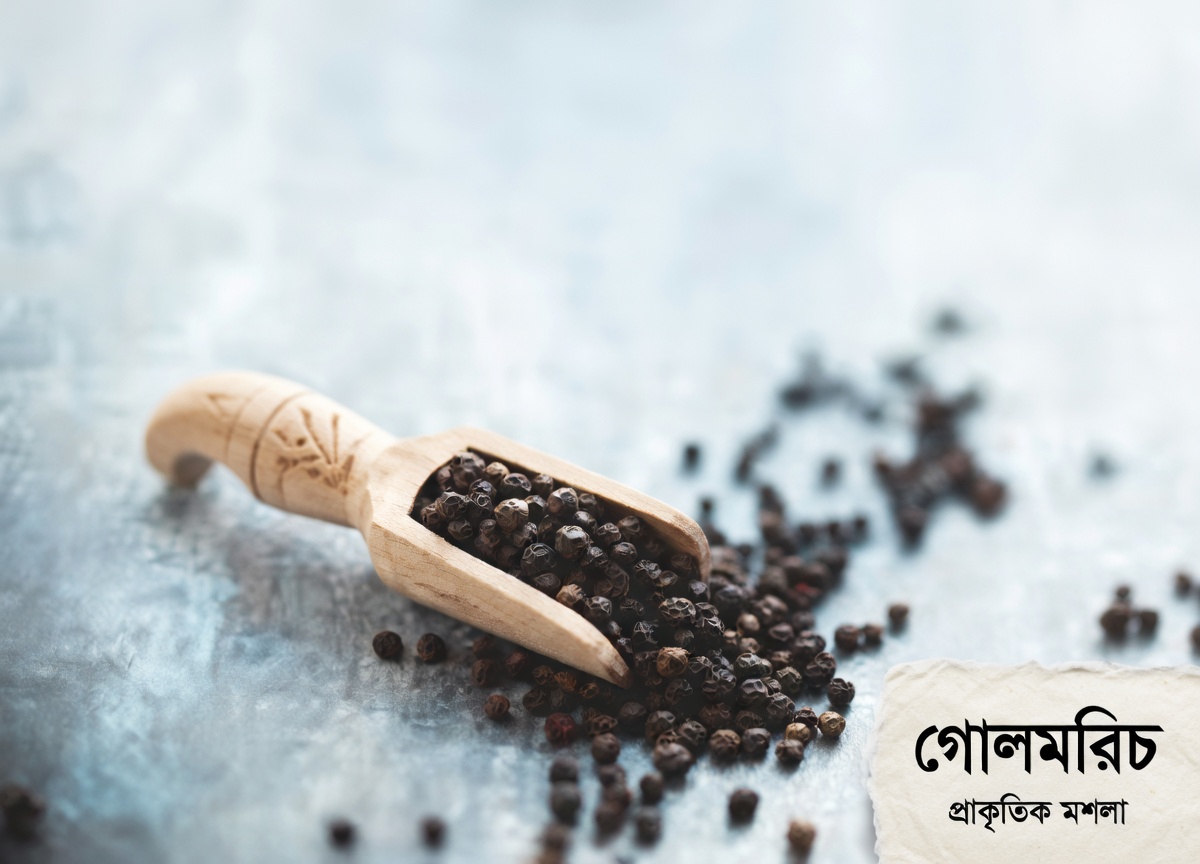 ৬০ বছরের বেশি বয়সী প্রাপ্তবয়স্কদের জন্য জলপাই তেল ও কালো মরিচ মিশ্রণের সম্ভাব্য স্বাস্থ্য উপকারিতা আবিষ্কার করুন