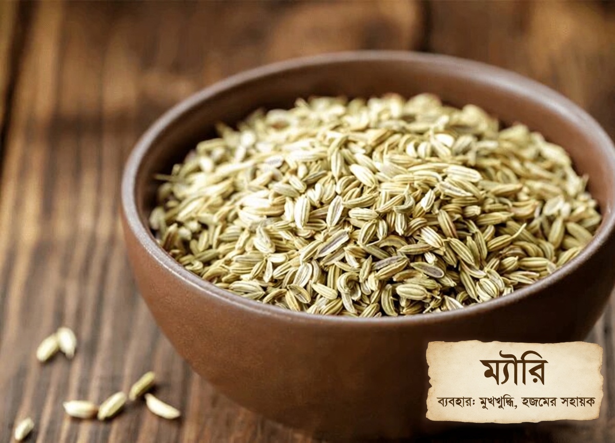 রান্নাঘরের বাইরেও এলাচের শক্তিশালী উপকারিতা: ১৮টি লুকানো ব্যবহার যা আপনার স্বাস্থ্য চিরতরে বদলে দিতে পারে