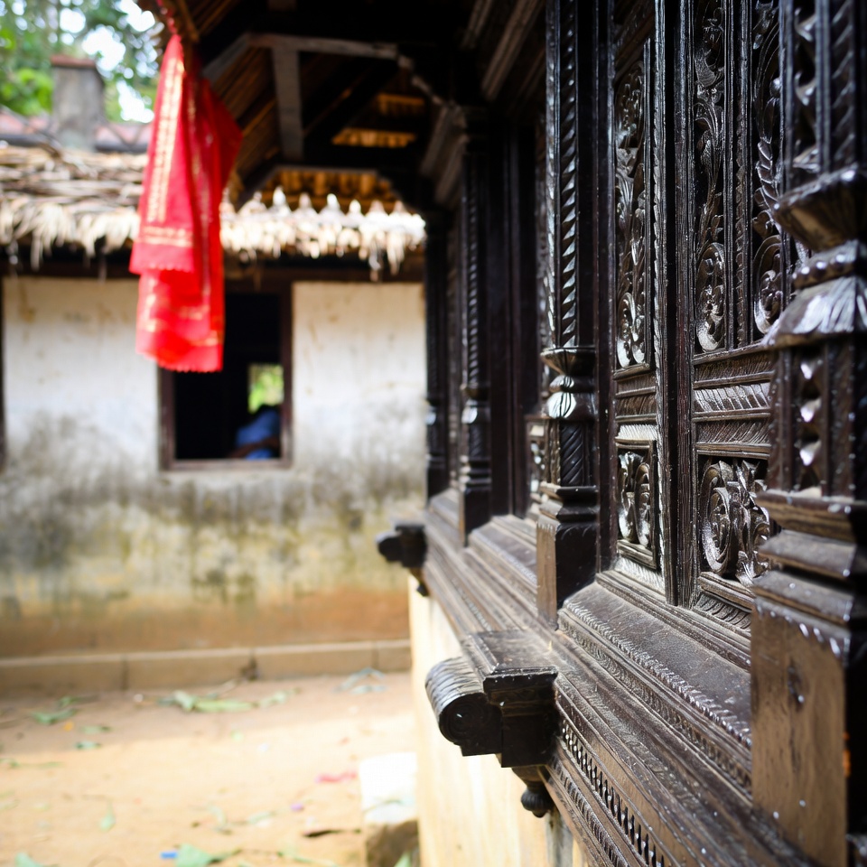 পেঁপের বীজ: ফ্যাটি লিভার ও দীর্ঘস্থায়ী ক্লান্তির বিরুদ্ধে প্রাকৃতিক অস্ত্র