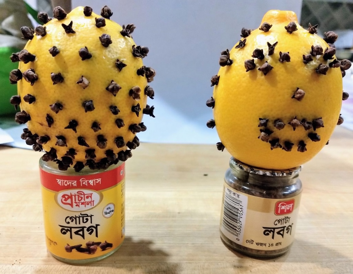 বাড়িতে স্বাস্থ্যের জন্য একটি প্রাকৃতিক সমন্বয় আবিষ্কার করুন