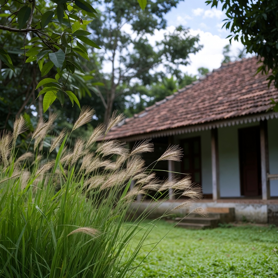 চিরযৌবনের রহস্য: আপনার বাগানের বুনো ভেষজ