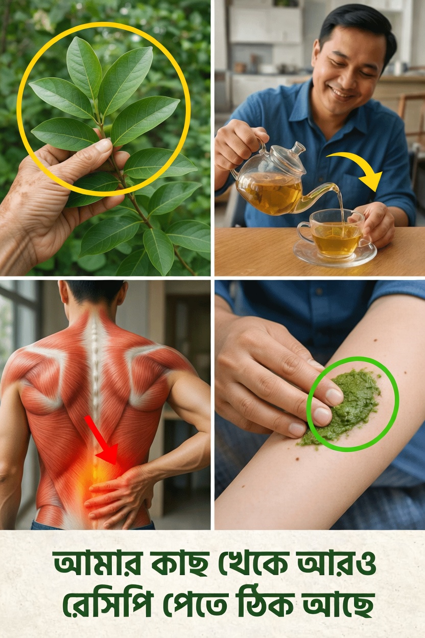 হাড় ও জয়েন্টের সুস্থতার জন্য পেয়ারা পাতা: আজই বাড়িতে সহজ রেসিপি ও টিপস চেষ্টা করুন