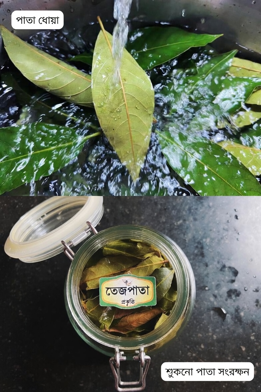 হাড় ও জয়েন্টের সুস্থতার জন্য পেয়ারা পাতা: আজই বাড়িতে সহজ রেসিপি ও টিপস চেষ্টা করুন