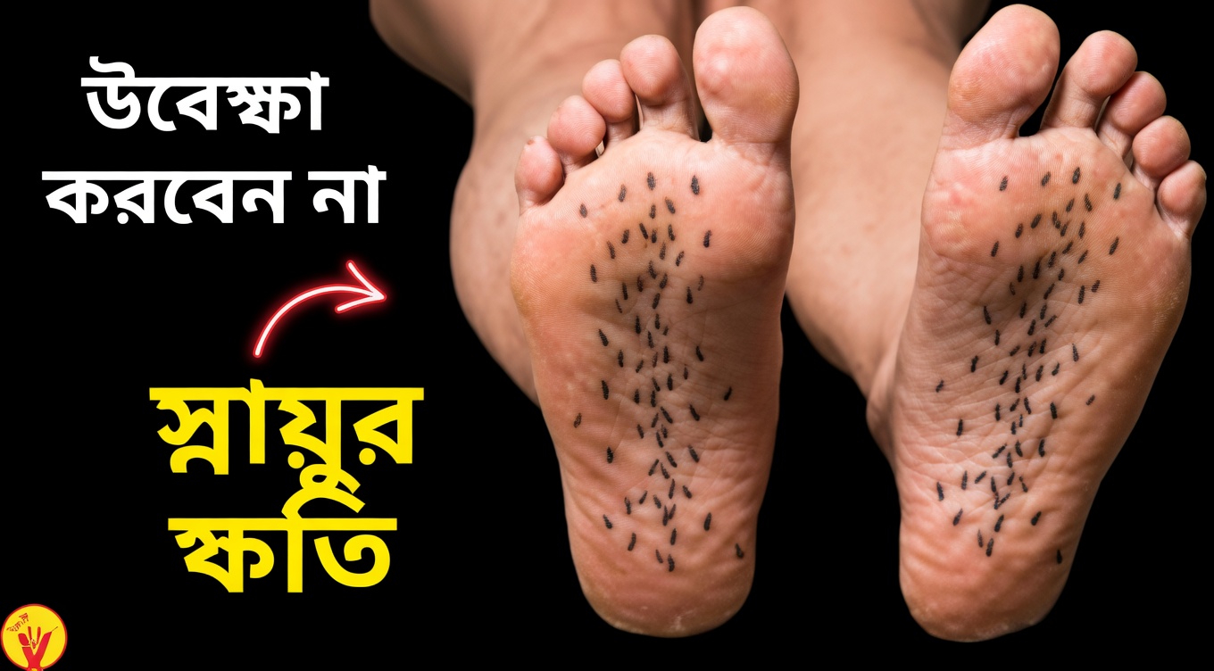 আপনার পা ও হাতে স্নায়ুর ক্ষতির ১৫টি প্রাথমিক সতর্কসংকেত, যেগুলোর প্রতি আপনার মনোযোগ দেওয়া উচিত