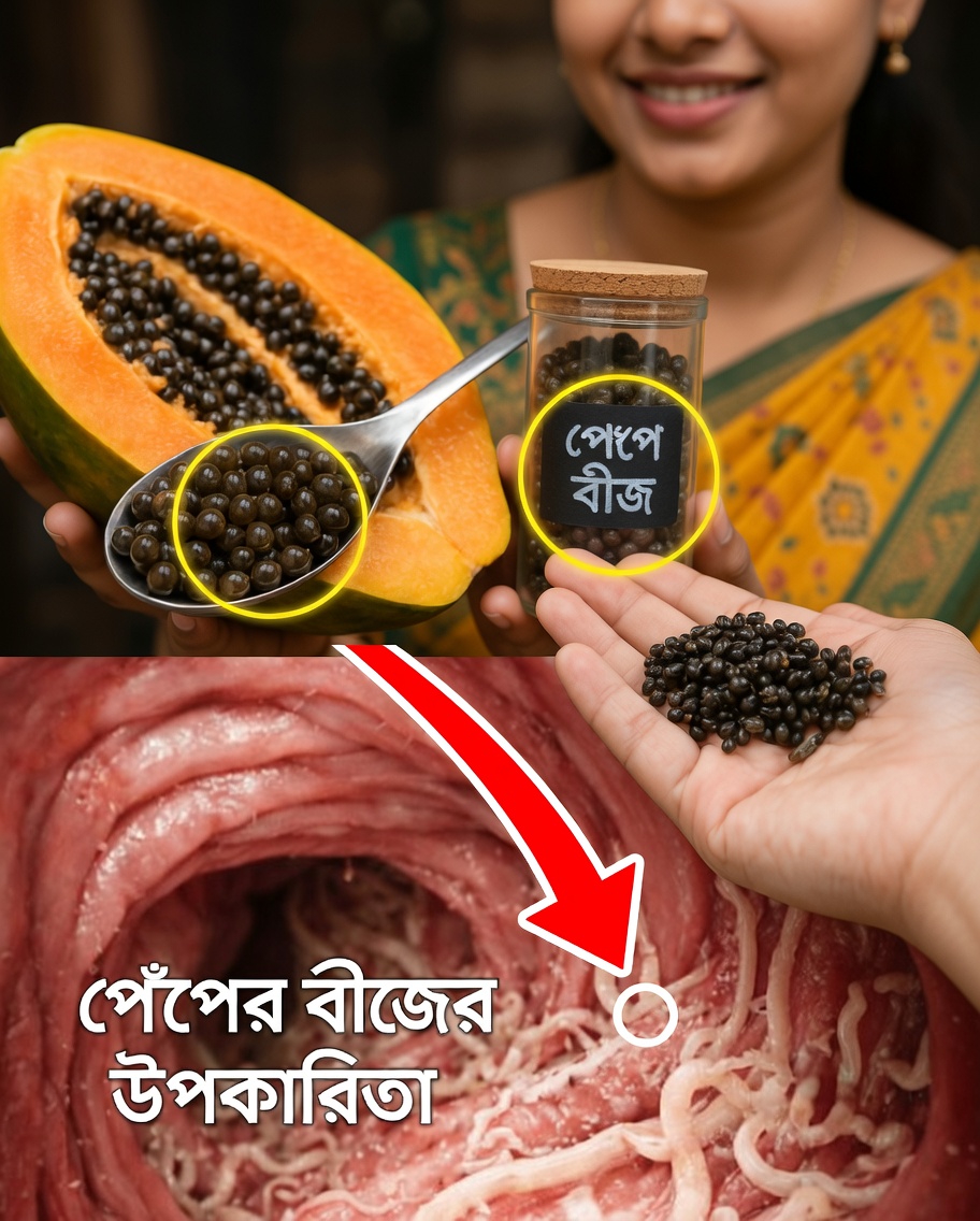 আপনার ফলের বাটির উপেক্ষিত সুপারফুড: পেঁপের বীজের ১৪টি আশ্চর্য উপকারিতা যা আপনার দৈনন্দিন সুস্থতাকে বদলে দিতে পারে