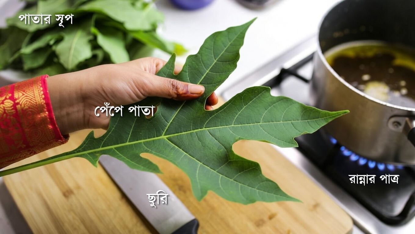 পেঁপের পাতা কি আরও স্বাস্থ্যকর চুল ও মাথার ত্বককে সহায়তা করতে পারে? চেষ্টা করে দেখার জন্য দুটি সহজ ডিআইওয়াই পদ্ধতি