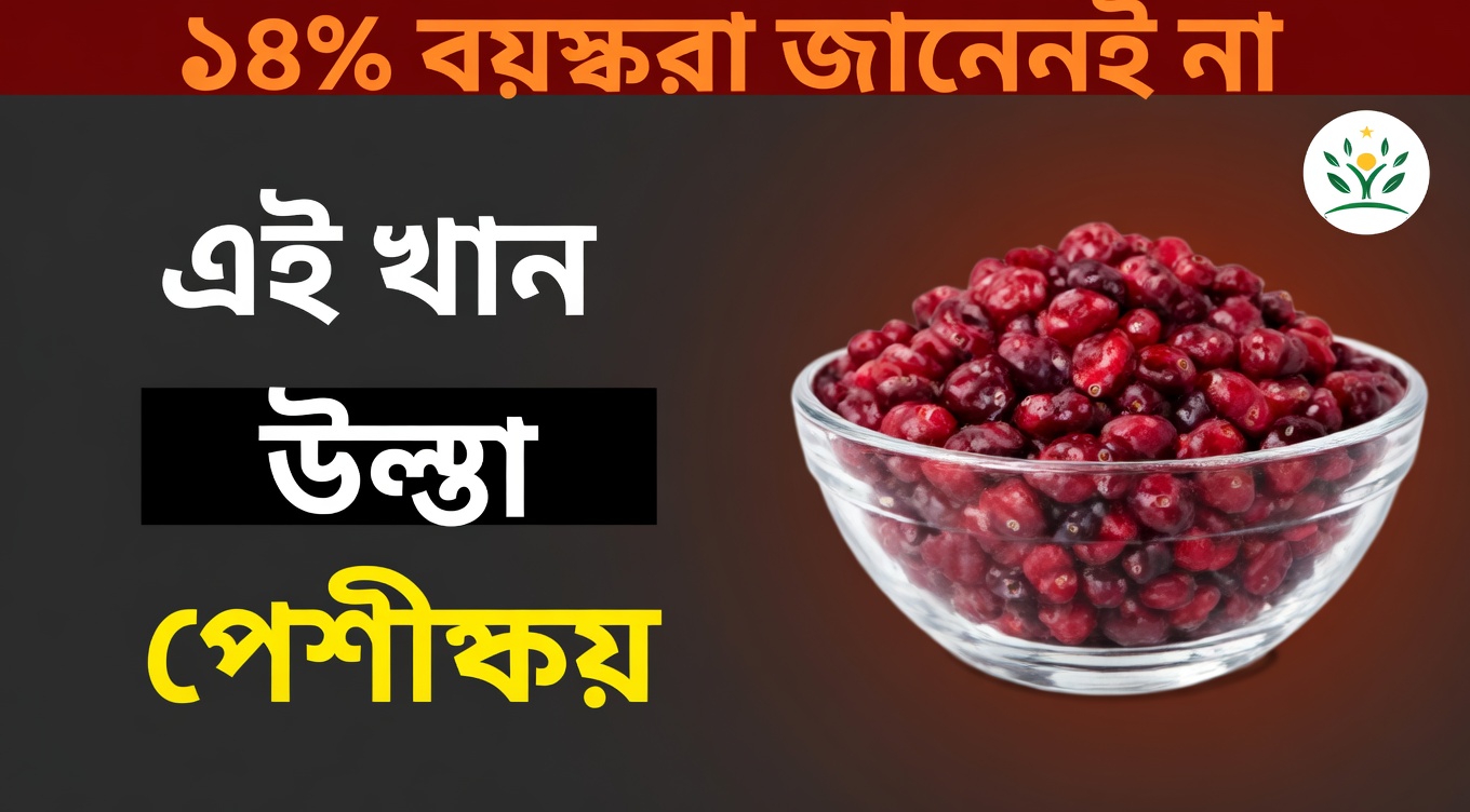 ৬০ বছরের বেশি বয়সীদের পেশির স্বাস্থ্য সমর্থনে সহায়ক ৫টি পুষ্টিসমৃদ্ধ ফল আবিষ্কার করুন: প্রবীণ সুস্থতা নির্দেশিকা